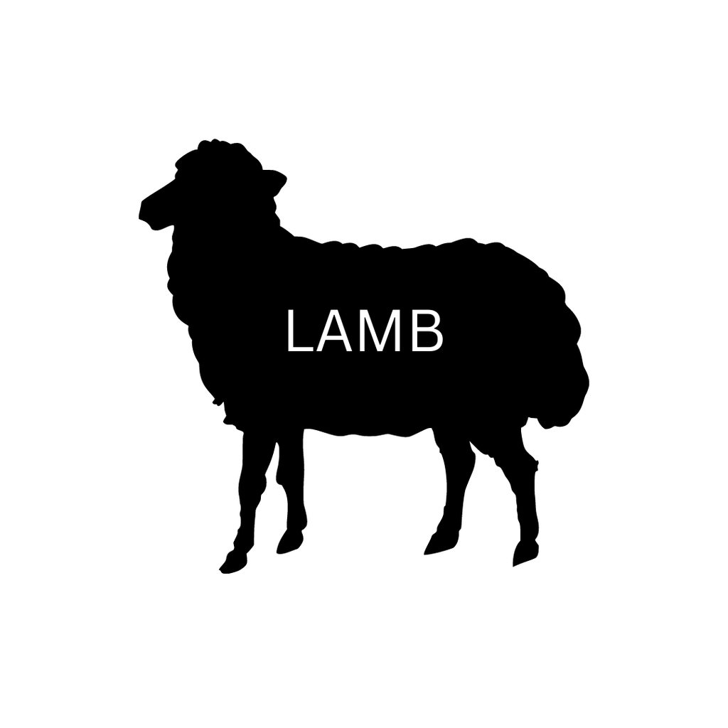 1st Class Lamb Foreshanks